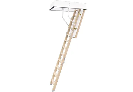 Roto Escalier Cadet 3 Norm, escalier escamotable Roto