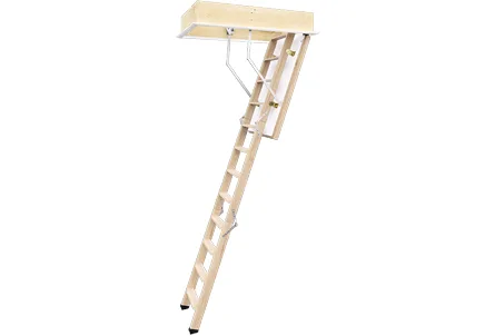 Roto Escalier Esca 11 Iso-RC, escalier escamotable Roto